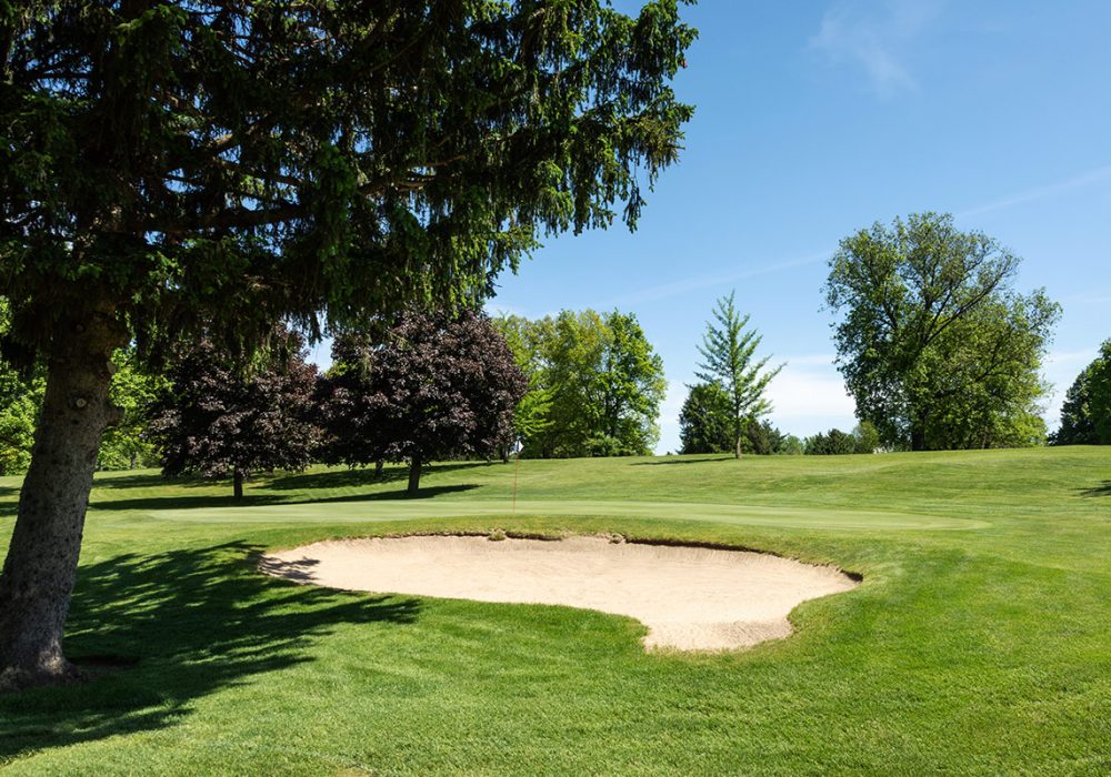 Cedar Lake Golf Course hole 15 greens