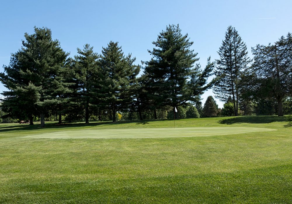 Cedar Lake Golf Course hole 17 greens