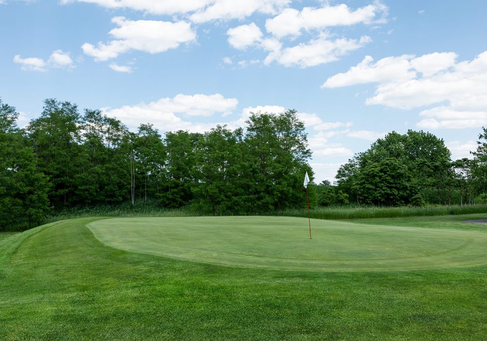 Cedar Lake Golf Course hole 2 greens