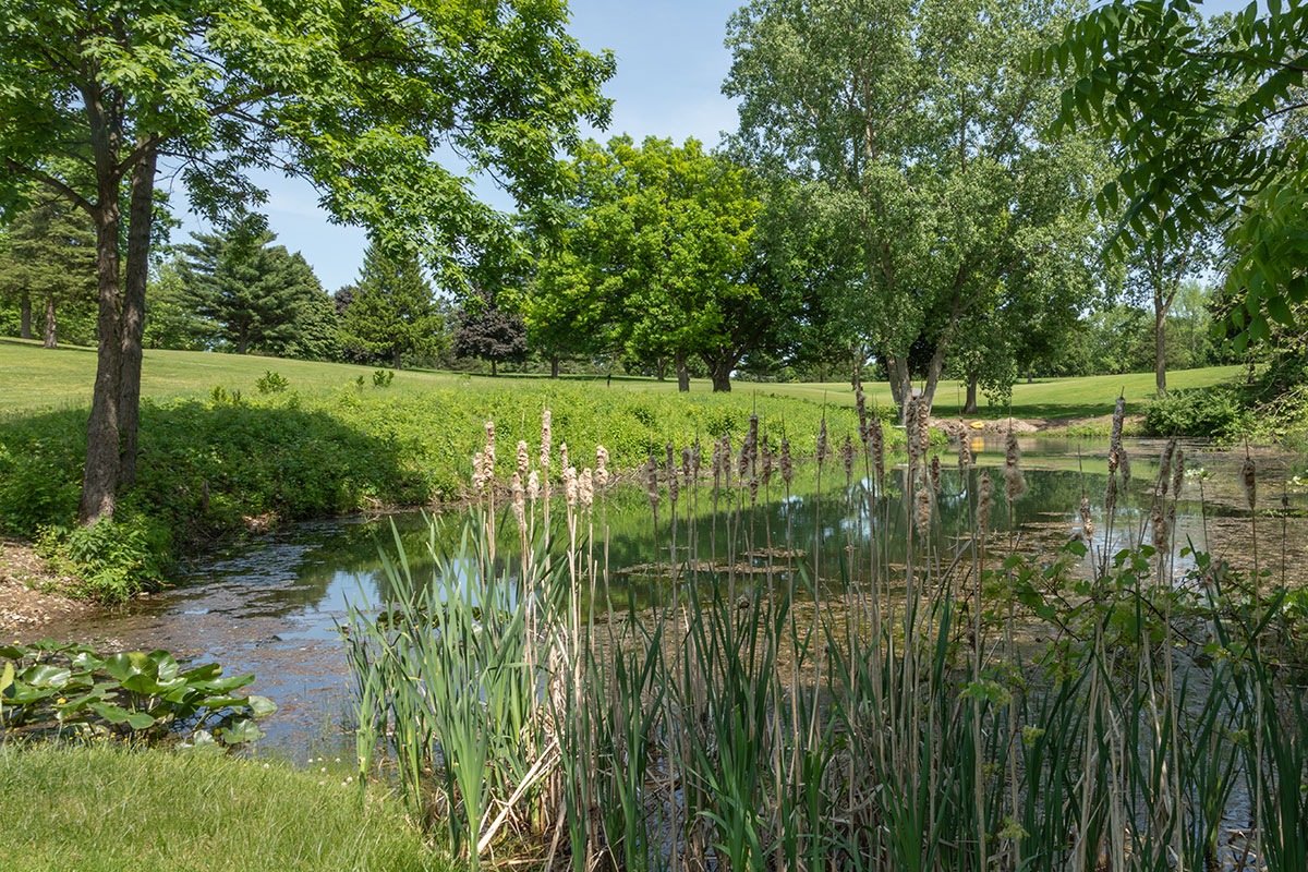 Cedar Lake Golf Course pond photo