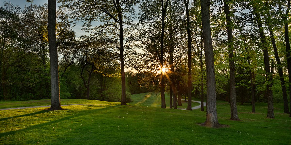 Cedar Lake Golf Course sunset photo in the woods
