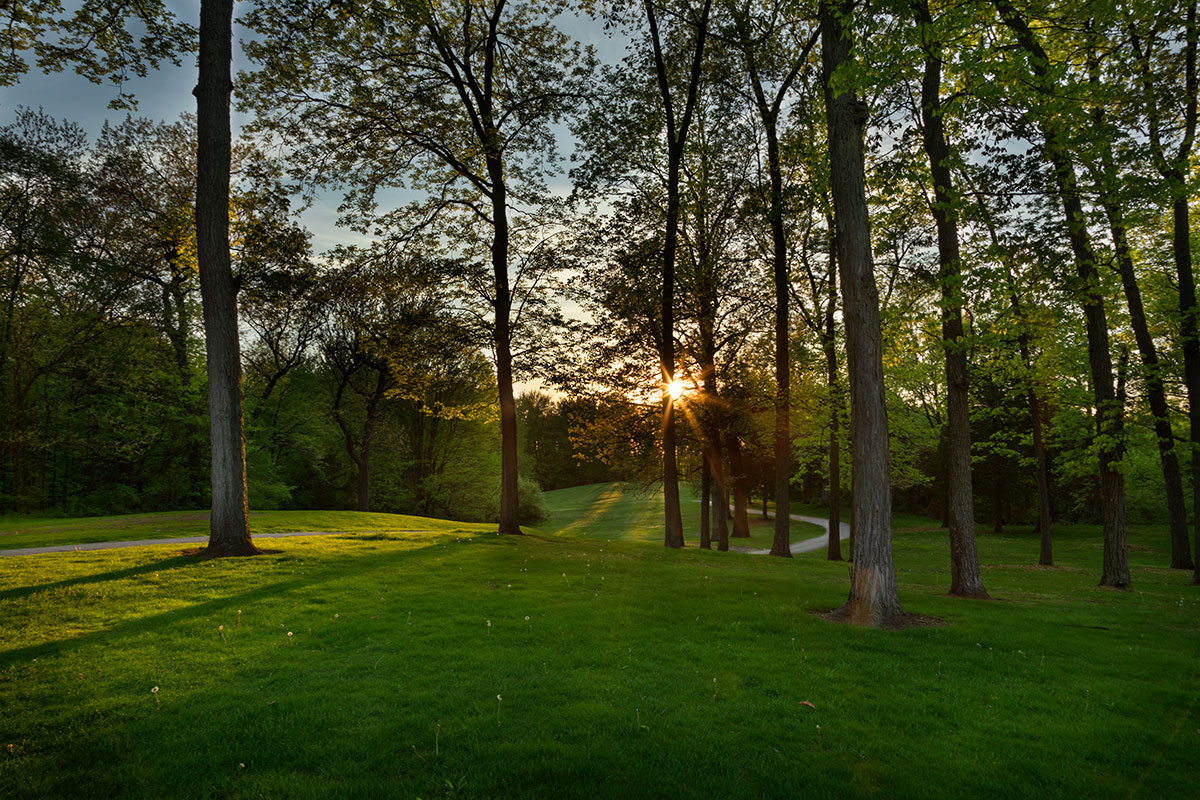 Cedar Lake Golf Course sunset photo in the woods